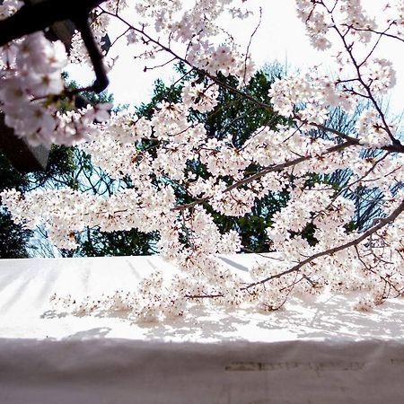 Tora Hotel Tokyo-Kitaueno 寅ホテル北上野 Exterior photo